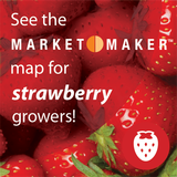 Strawberry FoodSearcher